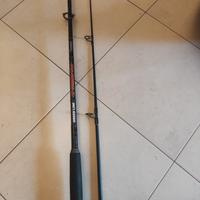 canna da pesca carbonio 100-300 g