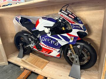 Ducati Panigale V4 MARTIN RACING #28