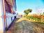 Immagine 7