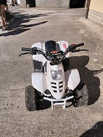  Mini Quad 125
