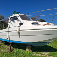 Barca cabinata 25