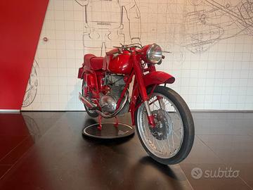 Mv Agusta 175 CS Sport 1955