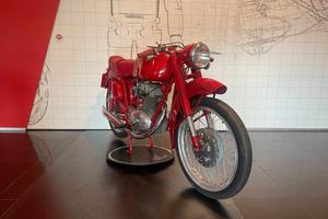 Mv Agusta 175 CS Sport 1955