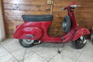 Vespa conservata