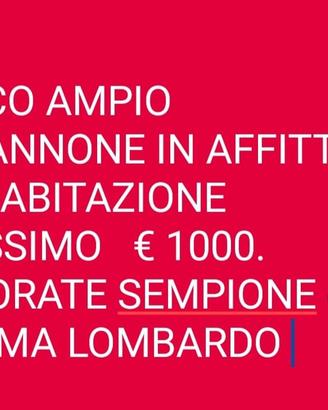 Capannone con abitazione