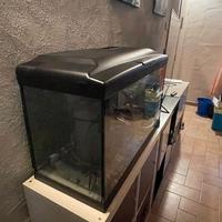 Acquario