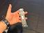 Immagine 4
