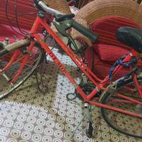 bici muscolare.