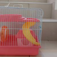 gabbietta per criceti