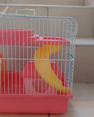 gabbietta per criceti