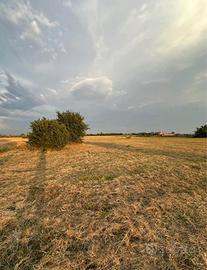 Terreno agricolo in zona commerciale