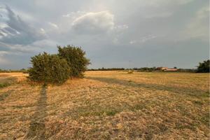 Terreno agricolo in zona commerciale