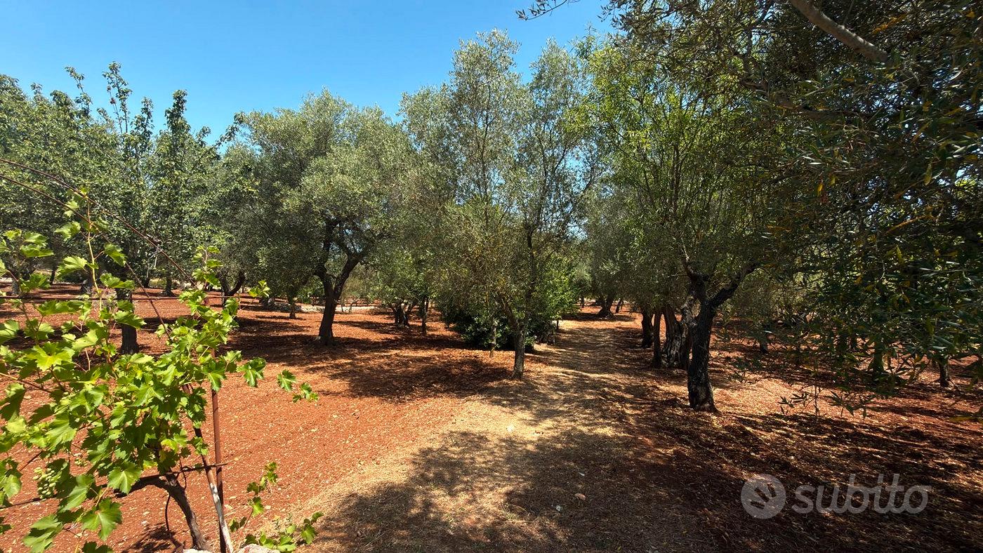 Terreno Residenziale Monopoli - Vista 2