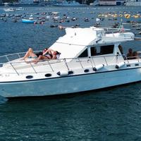 Barca Piantoni Ondazzurra 33 Fly