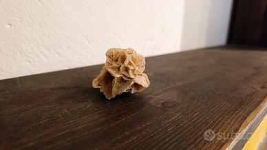 Rosa del deserto 