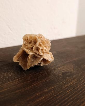 Rosa del deserto 
