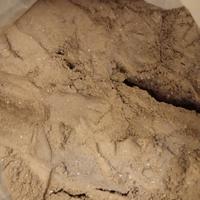 cenere di legna setacciata