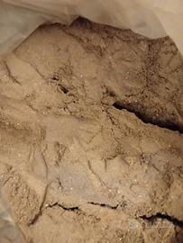 cenere di legna setacciata