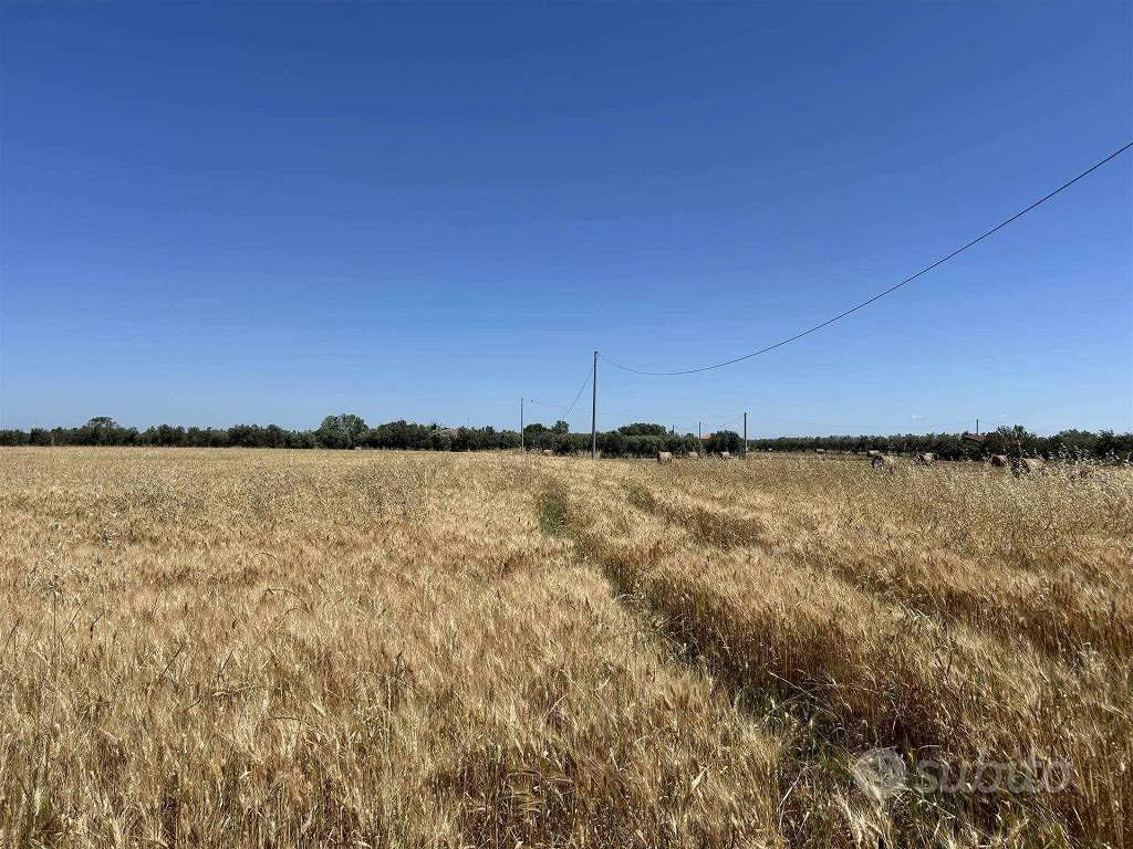 Rustico / Casale di 20040 m² a Tuscania - Vista 5