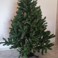 Albero di natale 175 cm