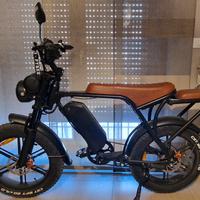 Fat bike bici elettrica con passeggero 