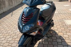 Peugeout sperdfight2 2010