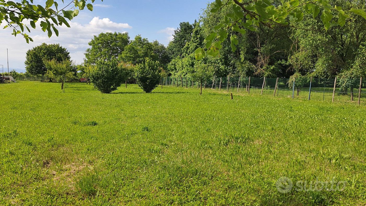 Terreno Agricolo Manzano [Cod. rif 3154827VCG] - Altro