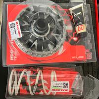  trasmissione malossi Yamaha majesty 400 