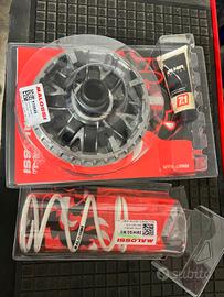  trasmissione malossi Yamaha majesty 400 