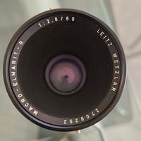 Leitz Macro Elmarit 60/2,8 + anello per Leicaflex
