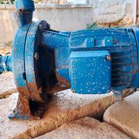 calpeda funzionante 380