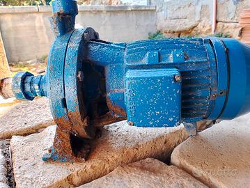 calpeda funzionante 380