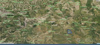 Terreno agricolo collinare