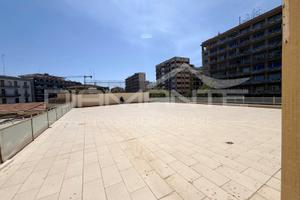 Corso italia trivani con terrazzo a livello