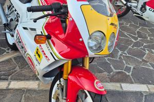 Cagiva mito lucky Explorer 92