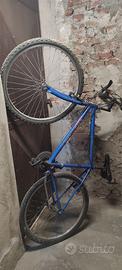 bici MTB blu per città