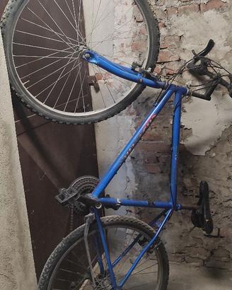 bici MTB blu per città