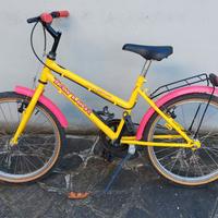 Bici da Bambina 6/8 anni con ruote da 20"