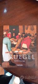 Tout l'oevre peint de Bruegel Rose Marie Hagen Tas