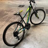 Bicicletta Mountain Bike