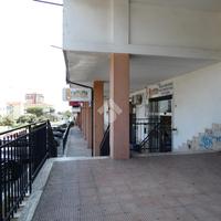 LICENZA A POLICORO