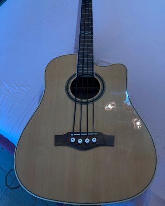Chotarra basso acustico EKO nxt serie s