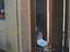 Immagine 21