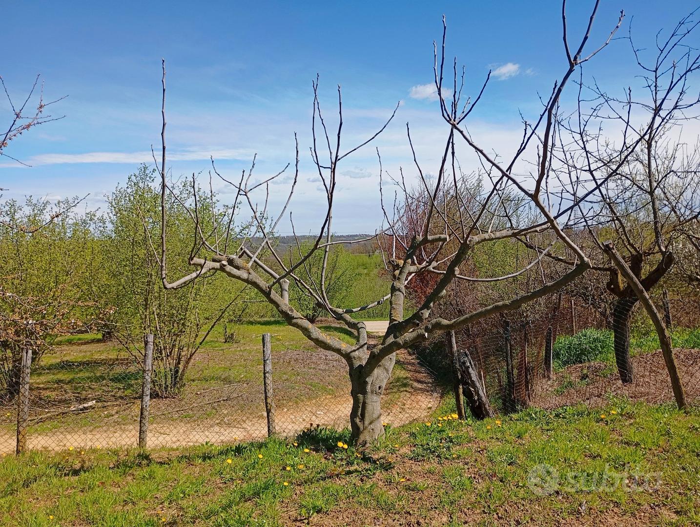 Terreno edificabile posizione panoramica - Vista 3