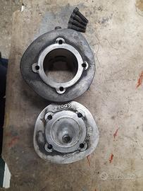 75 polini per ape vespa  leggere  la descrizione