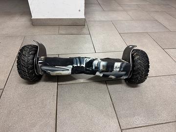 hoverboard Wildboard