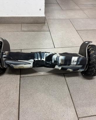 hoverboard Wildboard