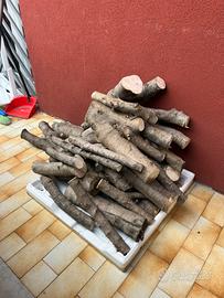 legna di ulivo