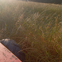 Operatore macchine agricole