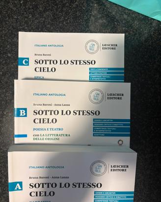 Sotto lo stesso cielo baroni lanza letteratura